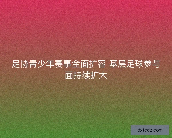 足协青少年赛事全面扩容 基层足球参与面持续扩大